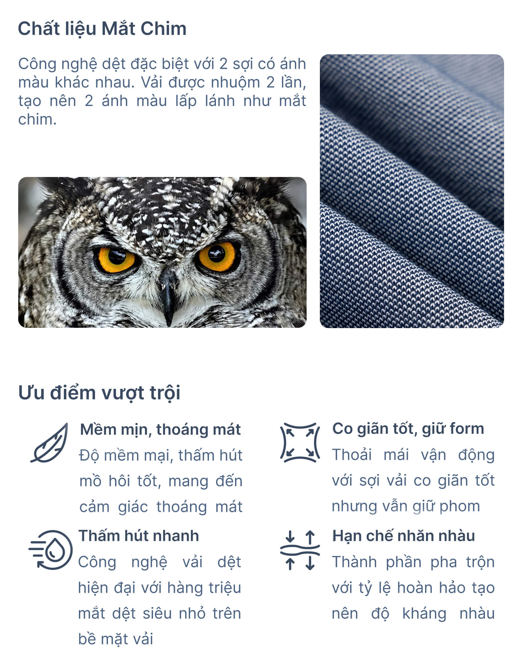 Áo Polo Nữ Mắt Chim In Kẻ